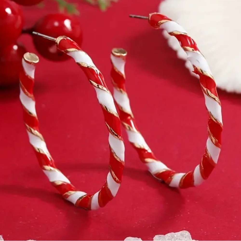 NEW Holiday Christmas Stainless Steel Spiral Earrings Hoop